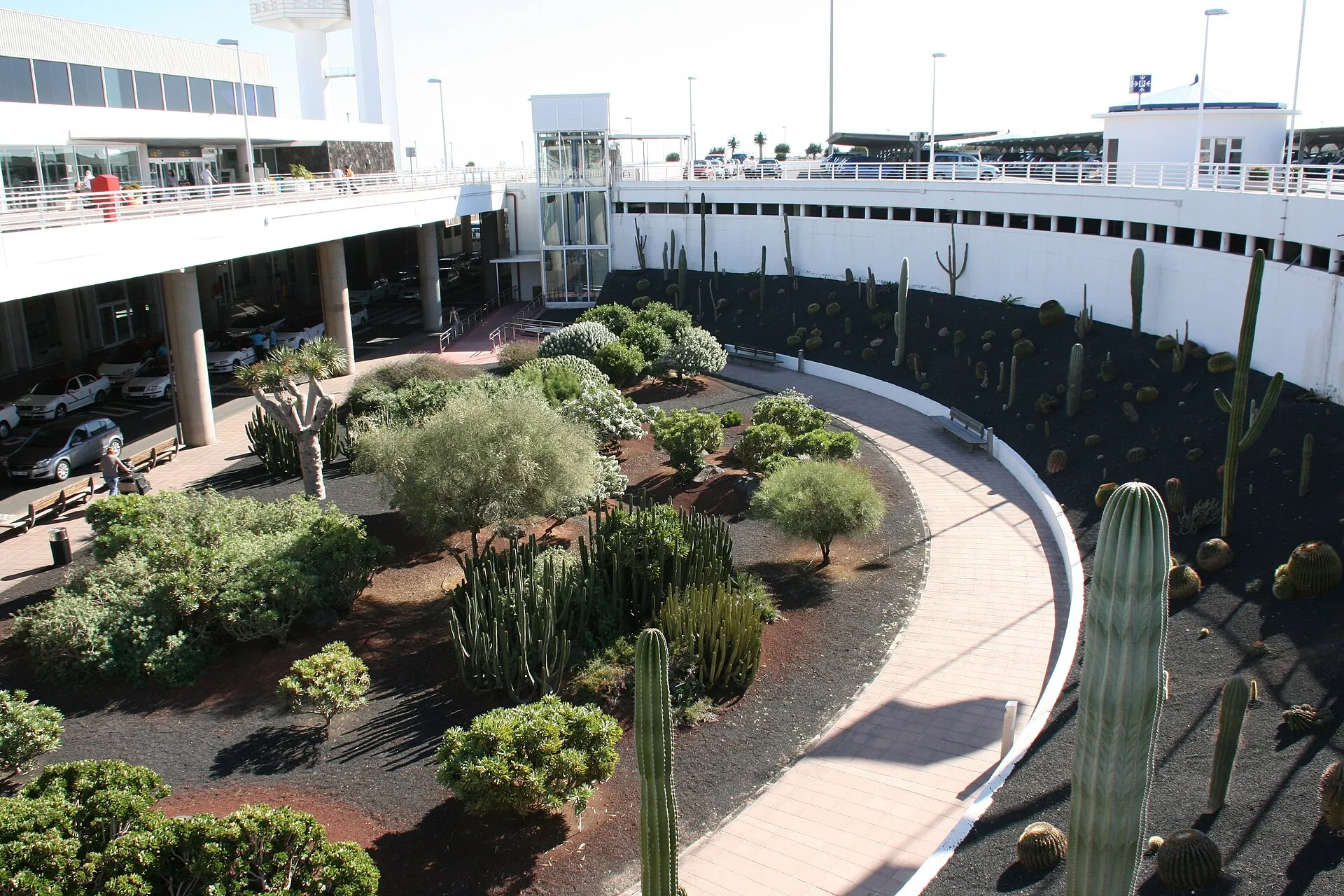 Der Kakteengarten vor dem Terminal des Flughafens Lanzarote